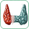 emitiroidectomia